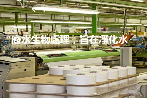 “廢水生物處理，旨在凈化水源，守護(hù)碧水藍(lán)天”